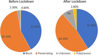 Effect of COVID-19 Lockdown on Small Animal Trauma Patterns in Australia: A Multicentre Study